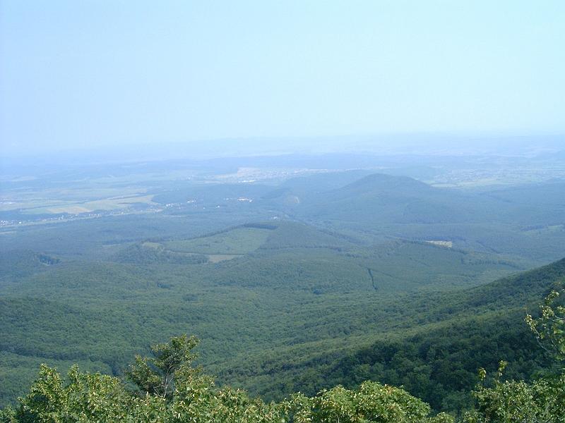 20100814 020.jpg